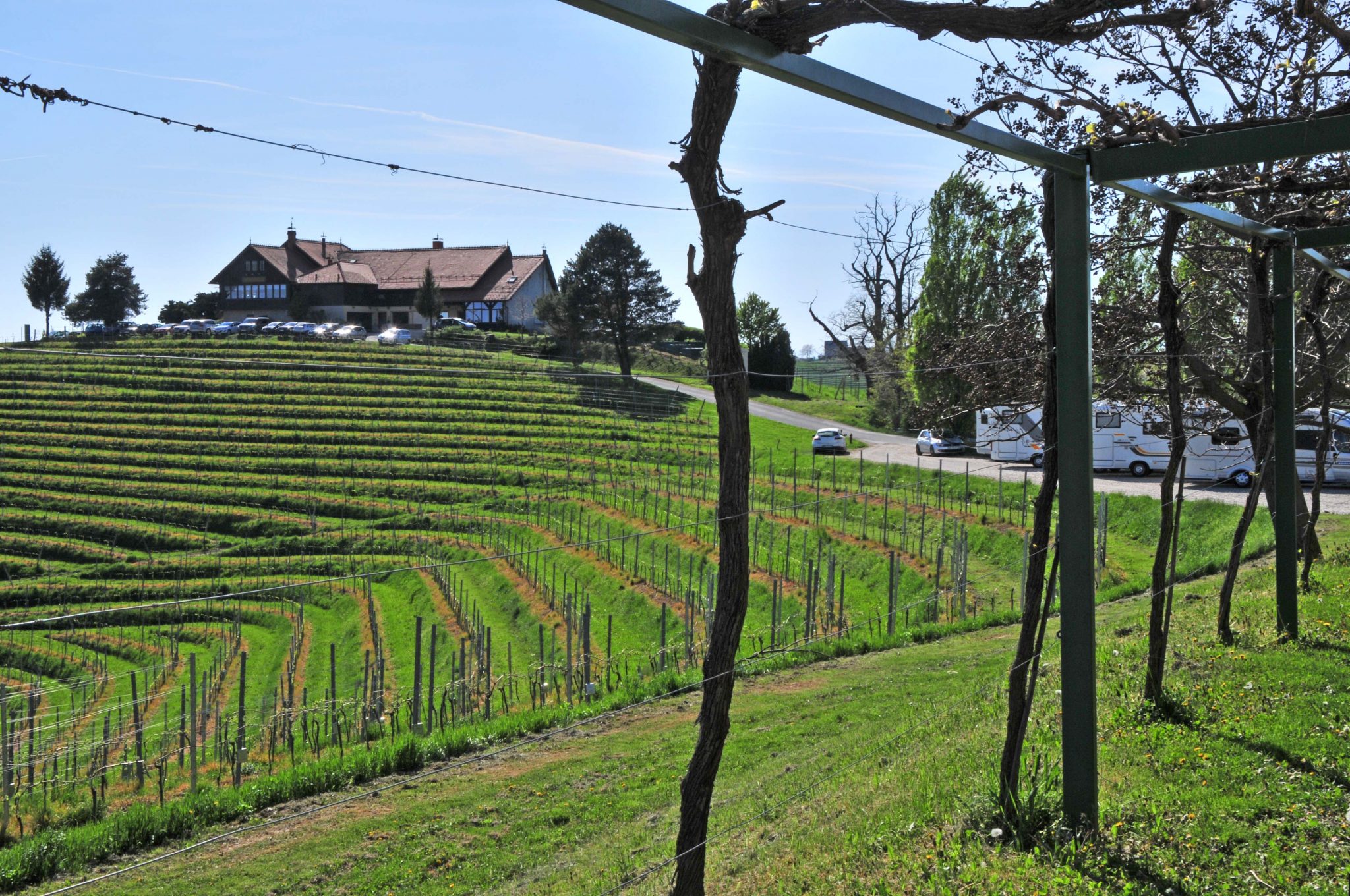 jeruzalem bei weinschank malek