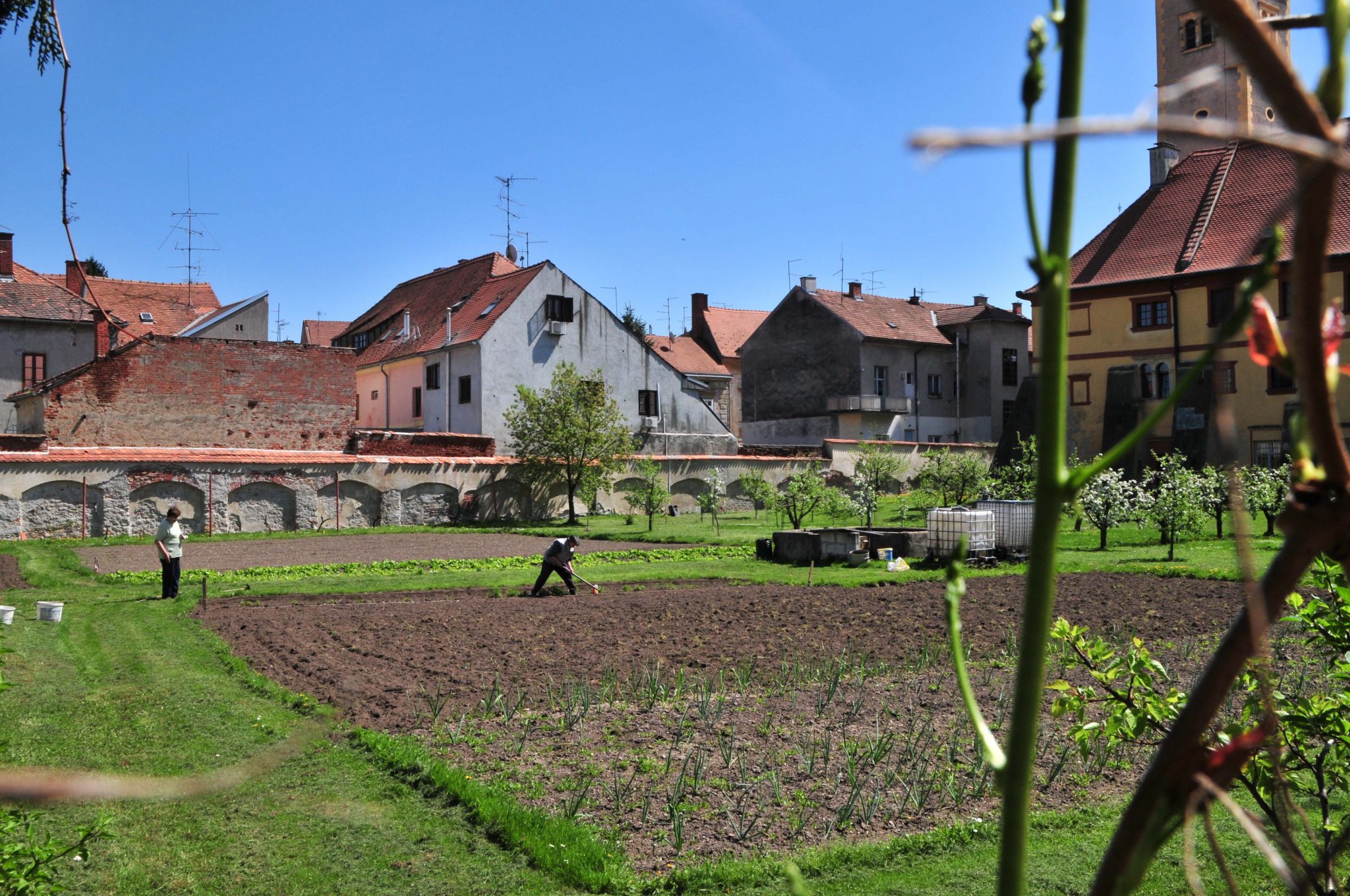 Gemüsegarten im Hinterhof des Ursulinenklosters von Varazdin.