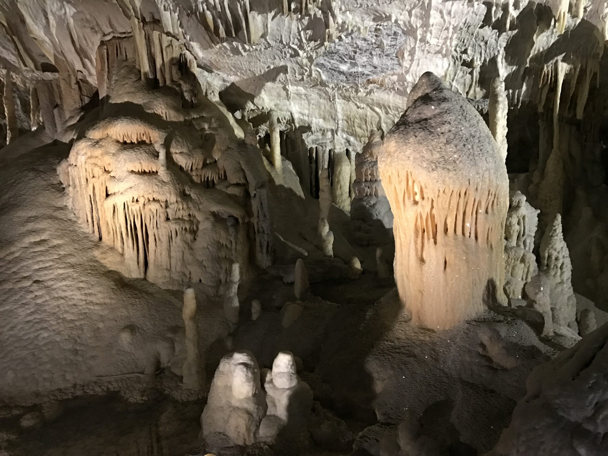 Rund 24 Kilometer ist das Postojna Höhlensystem.